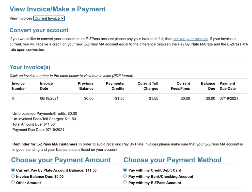 View Of Invoice Charges with Payment Options